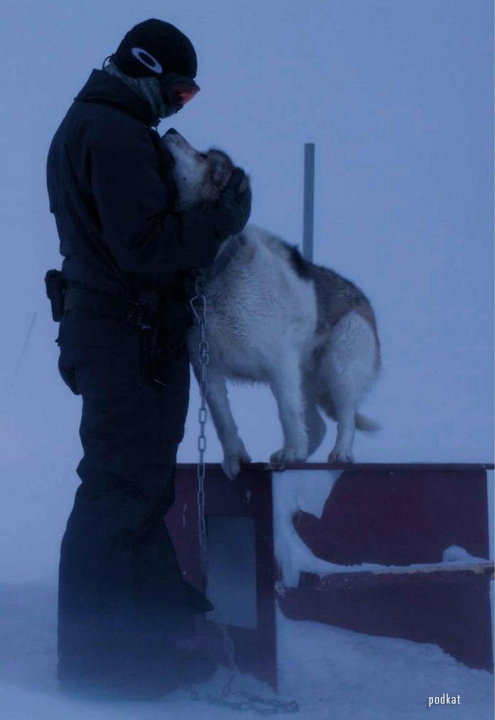 «Сириус» - единственный в мире военный патруль, использующий собачьи упряжки