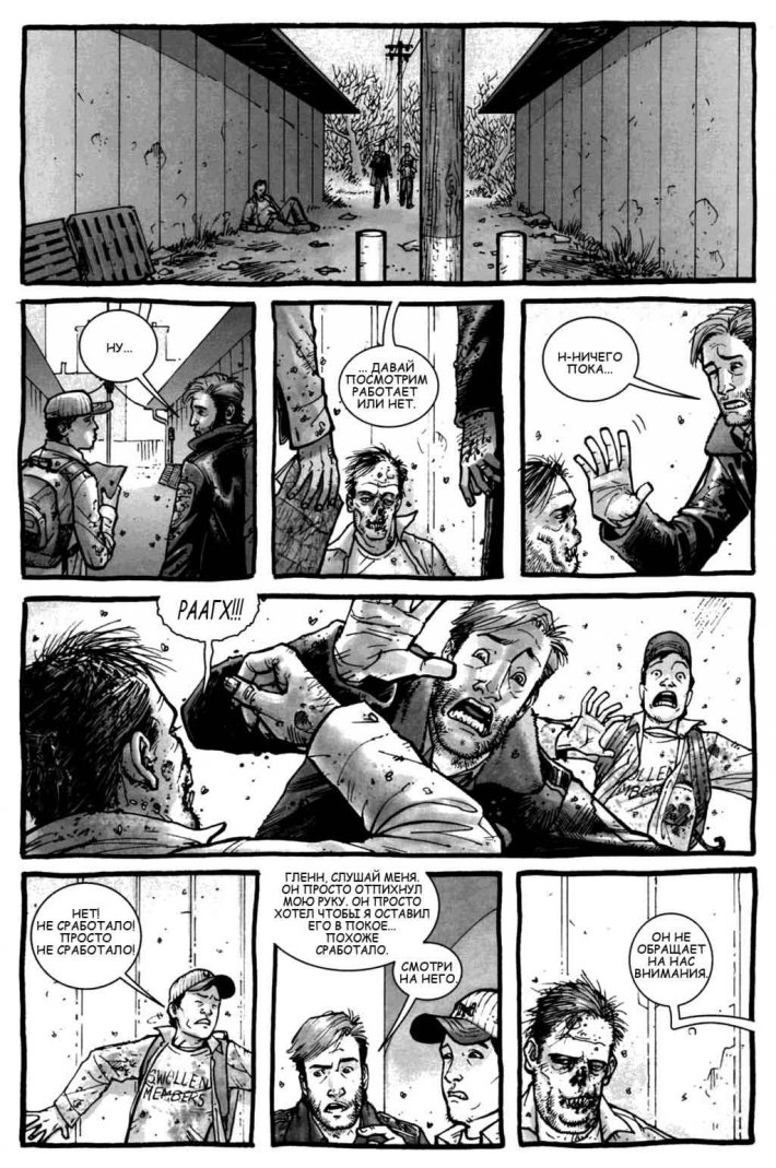 Ходячие мертвецы (IV) (комикс)