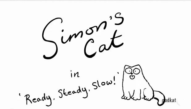 Simon's Cat in 'Ready, Steady, Slow!'