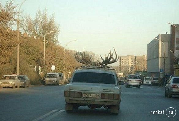 Meanwhile in Russia ( 1)