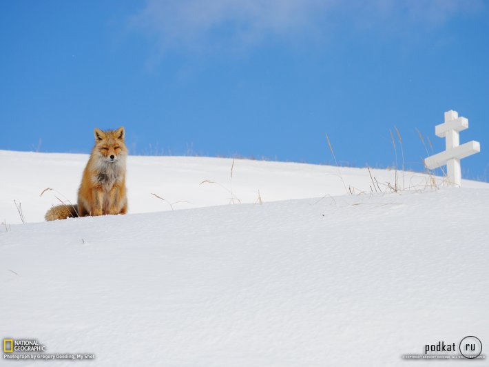      National Geographic   2013