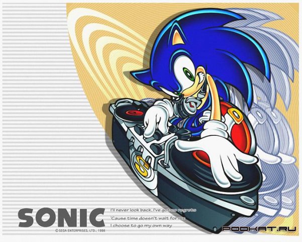 Sonic the hedgehog