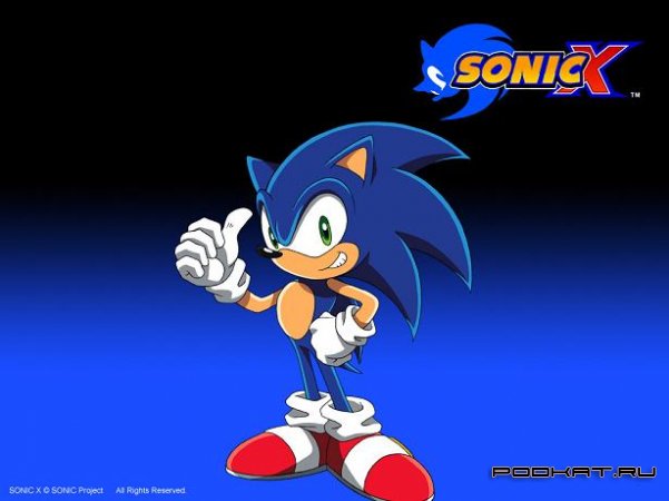 Sonic the hedgehog