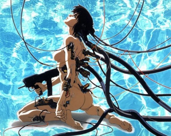 Ghost In The Shell Innocens