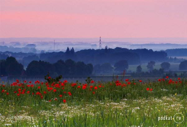 Foto by Bart Van Geffen