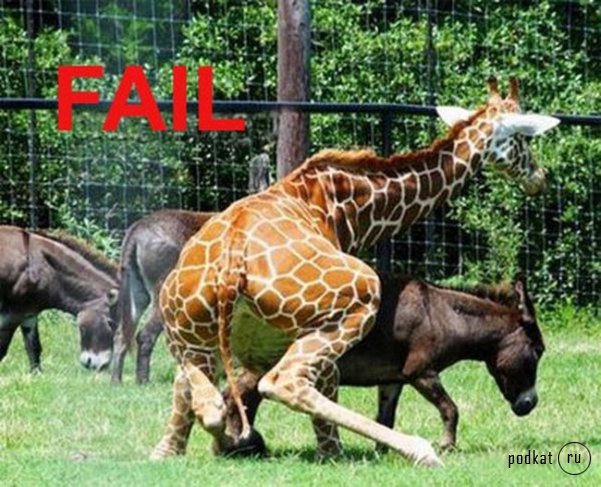 Fail