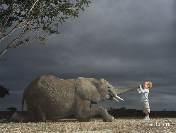 Tim Flach Photography