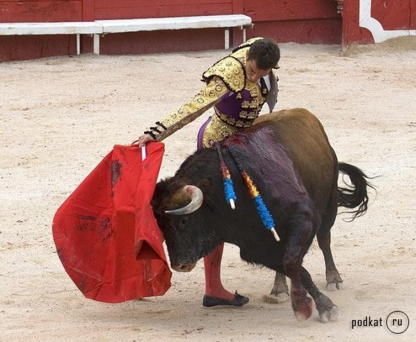 Corrida de torros