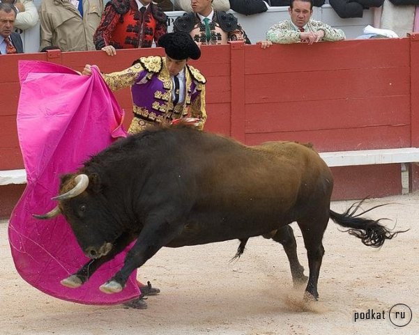 Corrida de torros