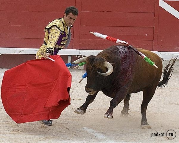 Corrida de torros