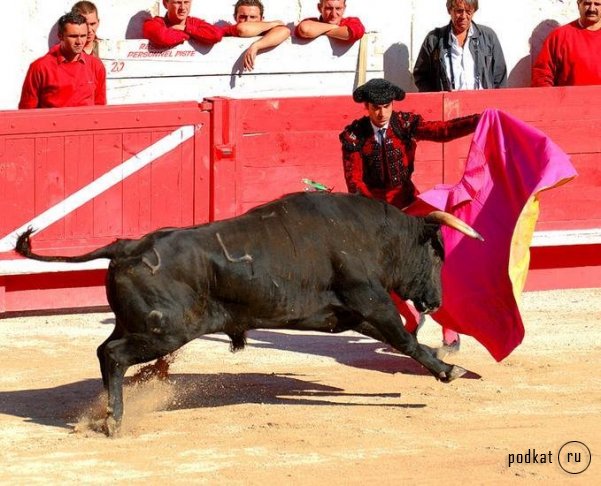 Corrida de torros