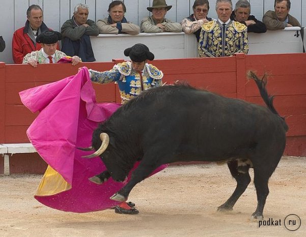 Corrida de torros