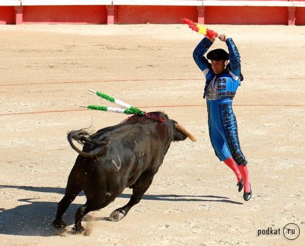 Corrida de torros