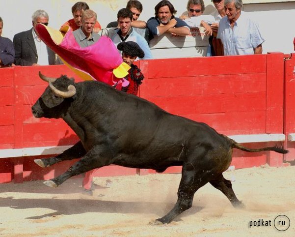 Corrida de torros