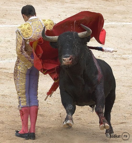 Corrida de torros