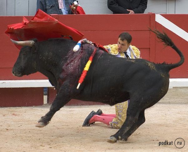 Corrida de torros