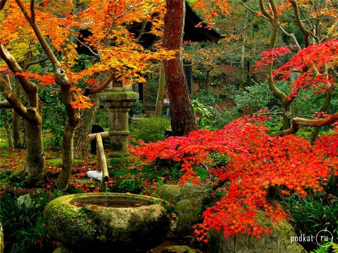 Nature of Japan